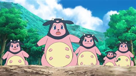 miltank weakness.